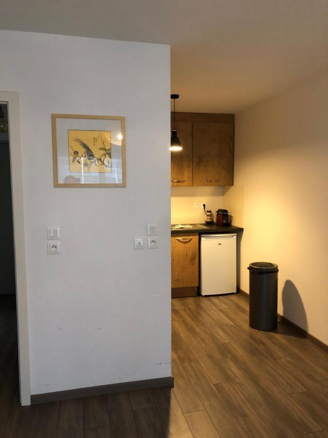F2 Cote Ugc Climatise Plein Centre Parking Gratuit Apartment Strasbourg Exterior foto